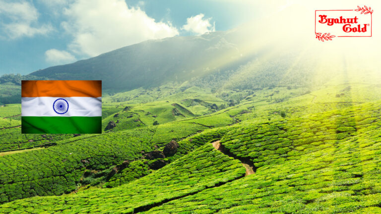 Top 5 Tea Producing Countries